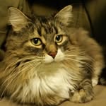 Linda Manson - @linda.manson.737 - Instagram