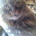 Linda Manter - Facebook