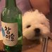 Linda Mao - Facebook