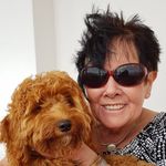 Linda Maplestone - @lindamaplestone - Instagram