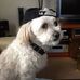 Linda Mapp - Facebook