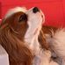 Linda Marable Eyler - Facebook