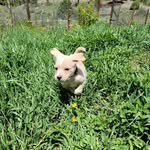 Linda Marblestone - @lindamarblestone - Instagram