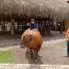 Linda Marcel Silvera Peralta - @linda.marcel.silv - TikTok