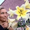 Just Lili - @lindademathieu - TikTok