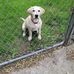 Linda Maybee - Facebook