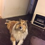 Linda Anne Percival - @linda.mcalpine.90 - Instagram