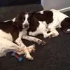 Linda McAlpine - @linda.mcalpine6 - TikTok