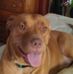 Linda Moad - Facebook