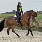 Linda Mortimer - @linda.mortimer.1042 - Instagram