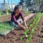 Linda Mortimer - @permaculturetrail - Instagram