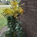 Lynda Napper - Facebook