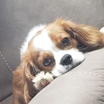 Linda Nunemaker Woolridge - @lindawoolridge - Instagram