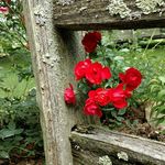 Linda Oates - @loatespottery - Instagram