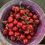 Linda Orme - @orme2505 - Instagram