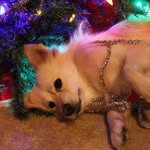 Linda Schlichterle Pardee - @lindapardee - Instagram