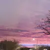 Linda Parson563 - @lindaparson563 - TikTok