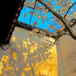 Linda Parsons - @lindaparsons665awb - Instagram