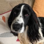 Linda Parsons - @linda_parsons150 - Instagram