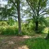 Linda Parsons - @linda.parsons79 - TikTok