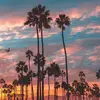 linda_pascucci - @linda_pascucci - TikTok