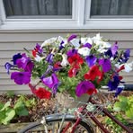 Linda Patchin Crumb - Facebook