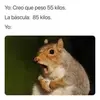pechlindamaria - @pechlindamaria - TikTok