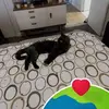 Linda Peirce - @linda.peirce - TikTok