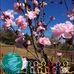 Linda Perkinson - Facebook
