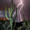 linda_in_phoenix - @linda_in_phoenix - TikTok