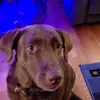 Linda Phoenix - @linda.phoenix - TikTok