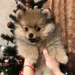 Мари Глем Стайл Линда Люкс - @linda_girlspitz - Instagram