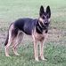 Linda Lund Pitz - Facebook