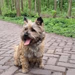 Linda Platenburg - @linda.platenburg.9 - Instagram