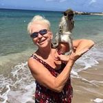 Lindapointer - @lindapointer1 - Instagram