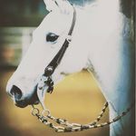 linda poor - @linda42884 - Instagram