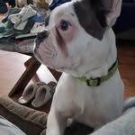 linda poor - @poor.l - Instagram