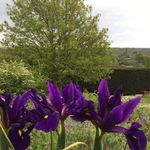 Linda Procter - @linda.procter.96 - Instagram