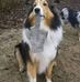 Linda Pater - Facebook