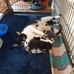 Linda Pester - Facebook
