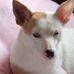 Linda Puster - Facebook