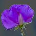 Linda Putney - Facebook