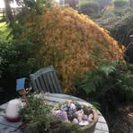Linda Radice - Facebook
