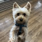 Linda Ramsay - Facebook