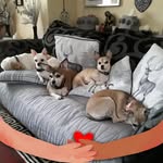 Linda Ramsay - @lindaramsay60 - Instagram