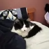 linda_is_reading - @linda_is_reading - TikTok