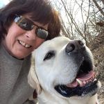 Linda Reck Ferenchko - @lindareckferenchko - Instagram