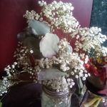 Linda Daino Relyea - @linda.relyea.9 - Instagram