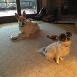 Linda Resh - @linda.l.resh - Instagram
