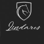 Lindares hourses - @lindares_horses - Instagram